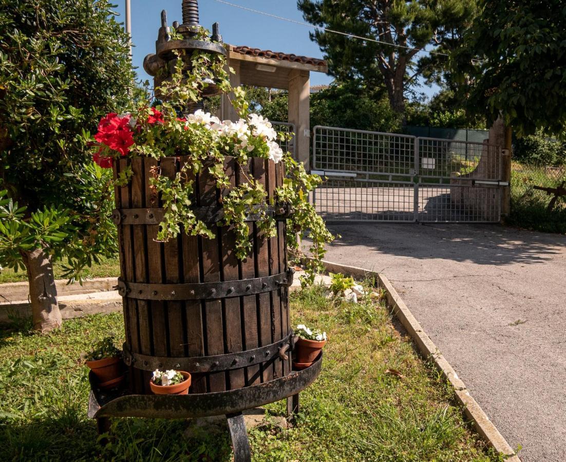 Апартаменты Cortile Nel Conero Анкона Экстерьер фото